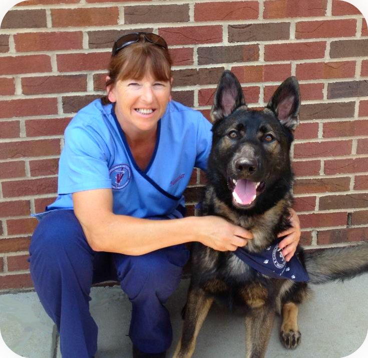 Carolinas Veterinary Medical Hospital in Charlotte, NC